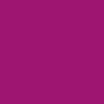 Pink Cosmos