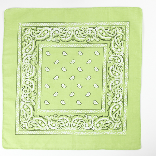 CC Bandana Green 55 x 55 cm