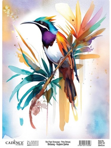 Cadence Birdsong Rijstpapier 30x42 cm Tropische vogel