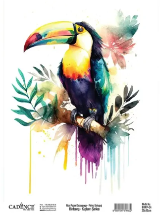 Cadence Birdsong Reispapier BRRP-04 30 x 42 cm