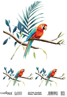 Cadence Birdsong Textieltransfer 25x35 cm Papagaai