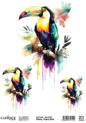 Cadence Birdsong Easy Transfer BRET-04 25x35 cm