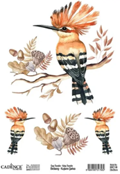 Cadence Birdsong Easy Transfer BRET-06 25x35 cm