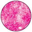 Glam Pink