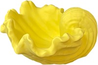 Siliconen Mal 13,3x13x6,7cm Schelp-2