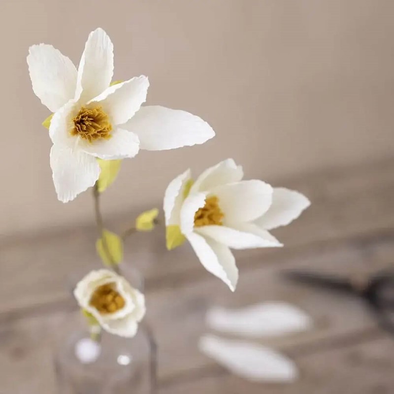 Magnolia maken van crêpepapier