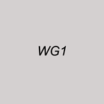 Warm Gray 1
